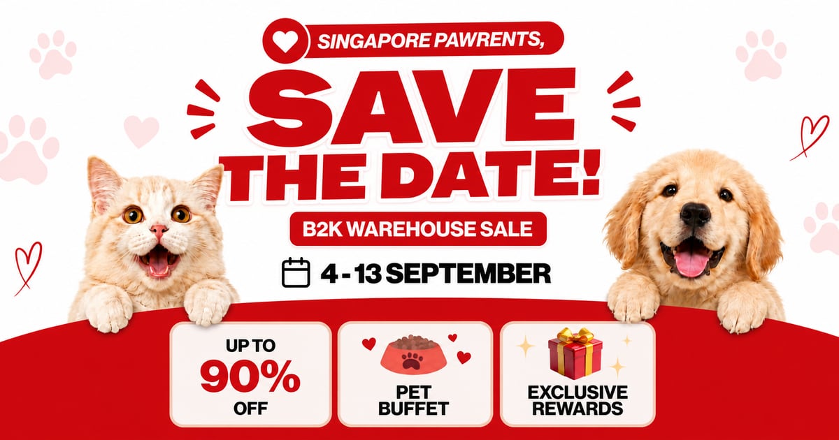 B2K Pet Warehouse Sale artwork with a cat and dog