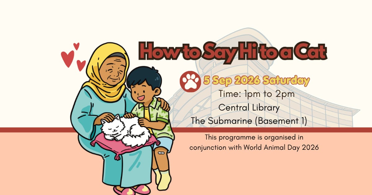 How to Say Hi to A Cat programme artwork