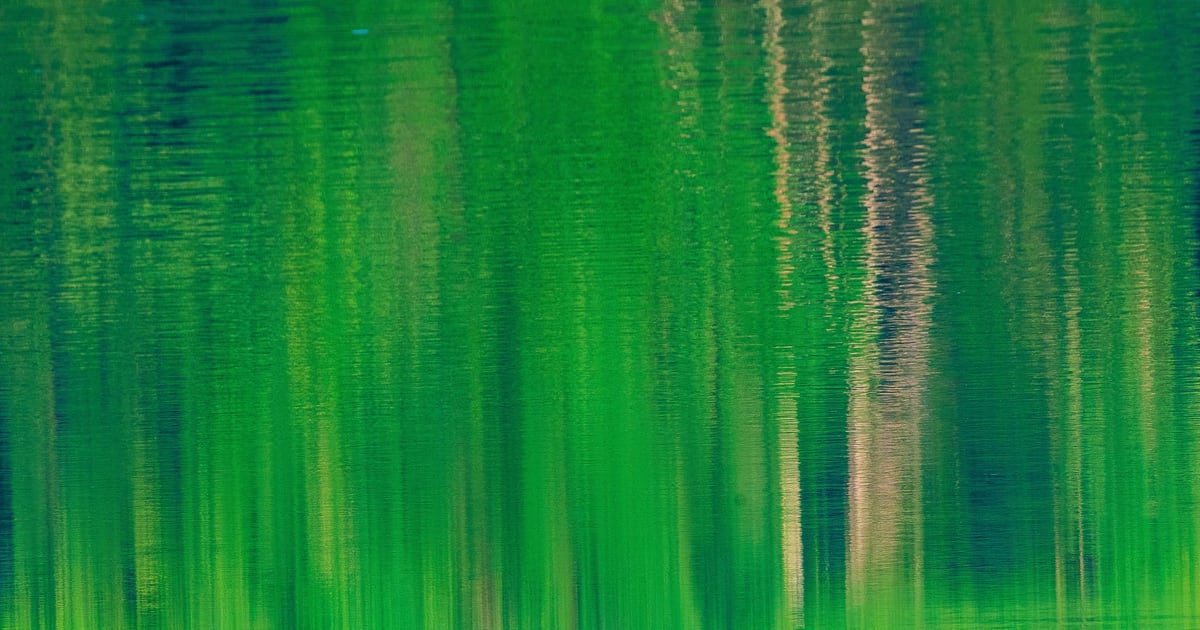 Tan Lip Seng's Spectacular Reflection photograph